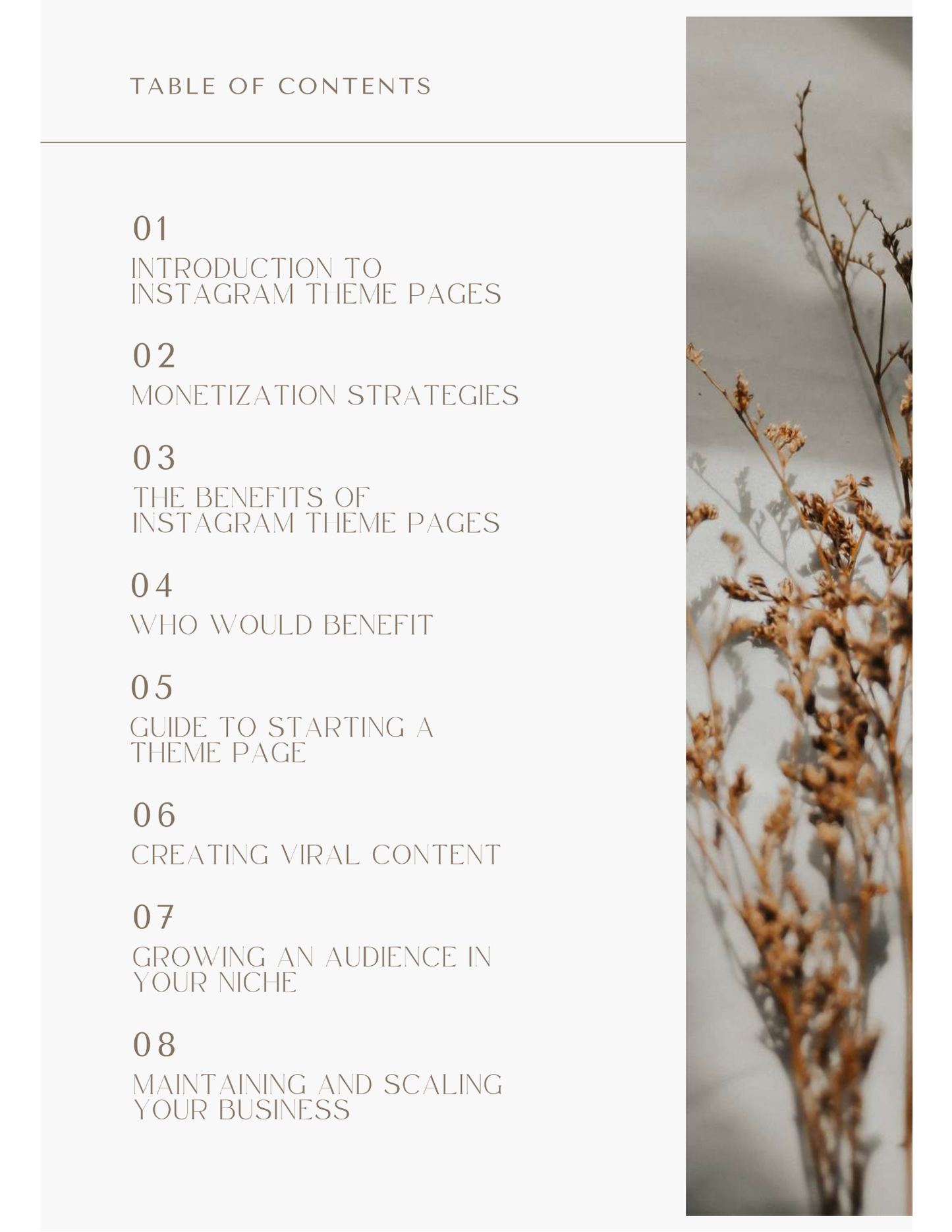 How To Make $30K With An Instagram Quote Page